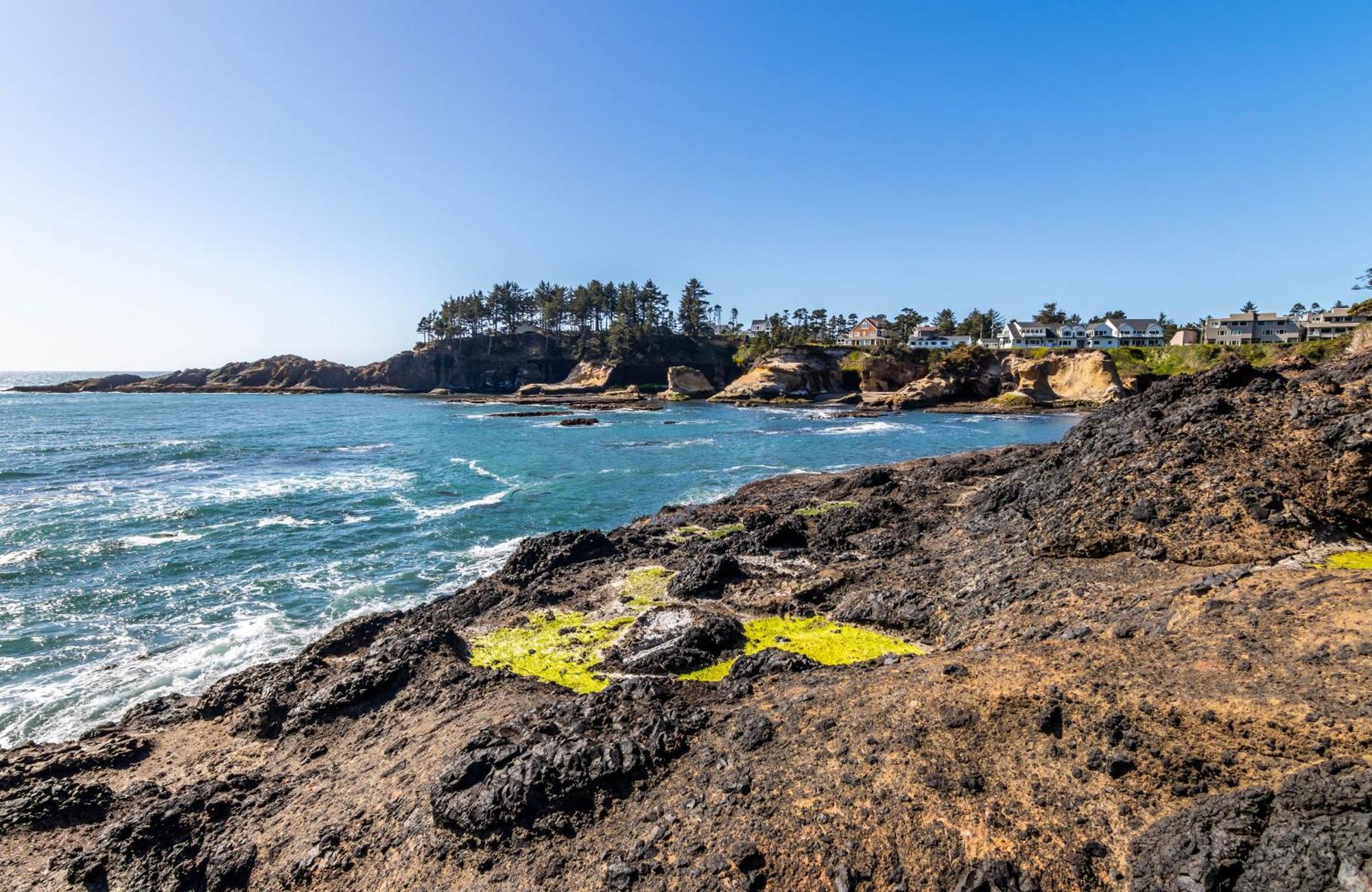 Whale'S Paradise Depoe Bay Ngoại thất bức ảnh